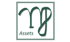MJ Assets